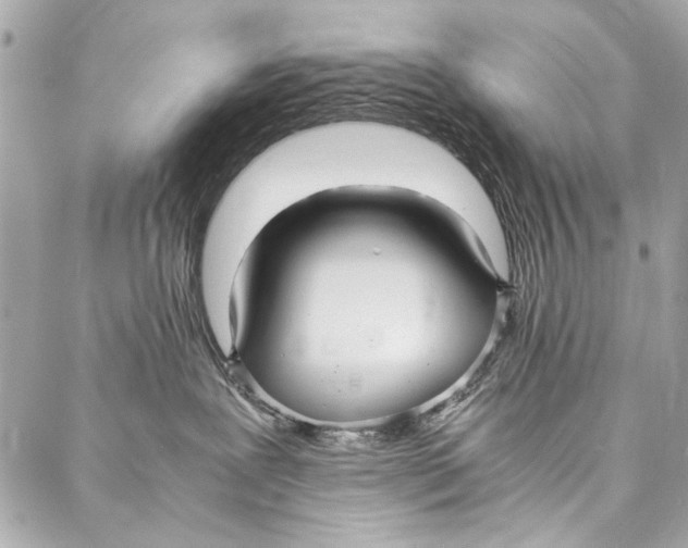 X0000086920239200705071336