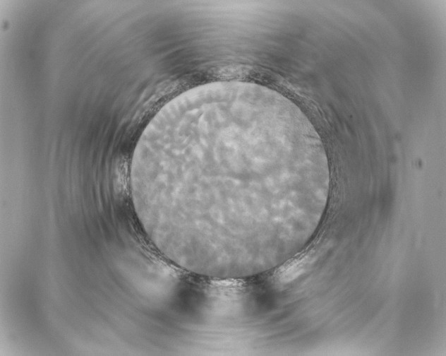 X0000086920240200705071336