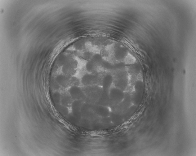 X0000086920241200705071335