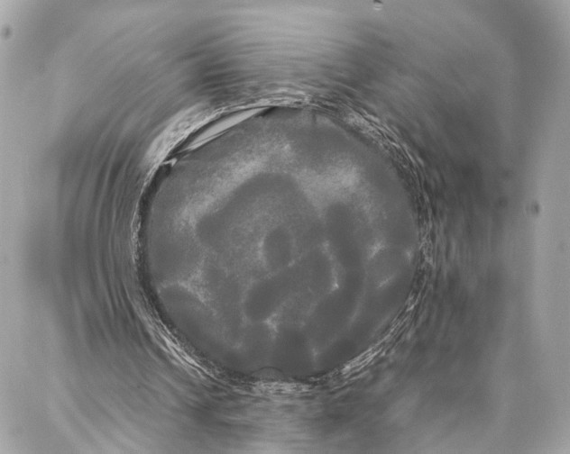 X0000086920242200705071335