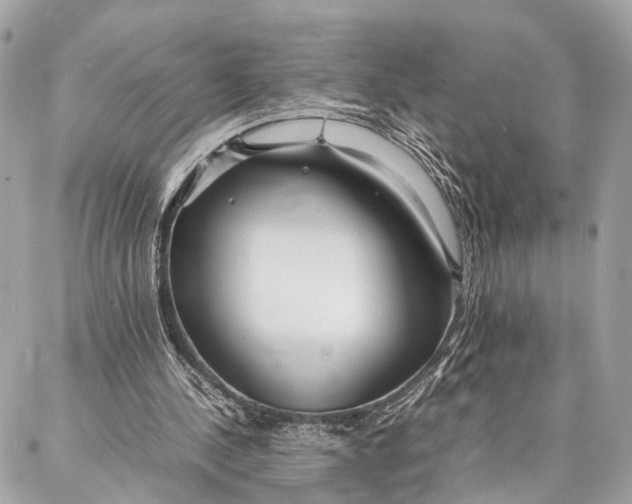 X0000086920244200705071335