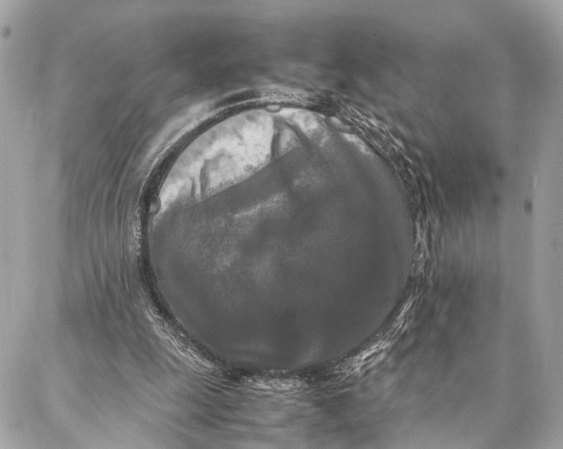 X0000086920247200705071335