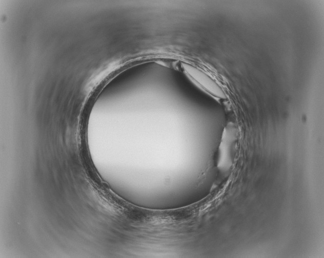 X0000086920248200705071335