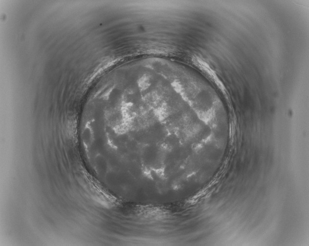 X0000086920249200705071335