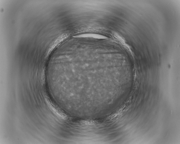 X0000086920250200705071335