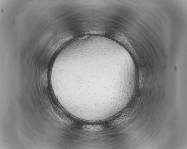 X0000086920251200705071335