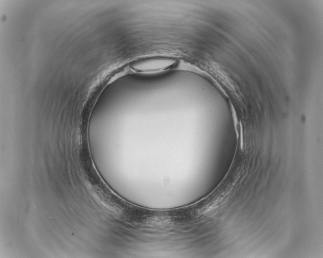 X0000086920252200705071335