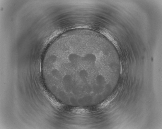 X0000086920253200705071335