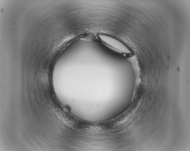 X0000086920256200705071335