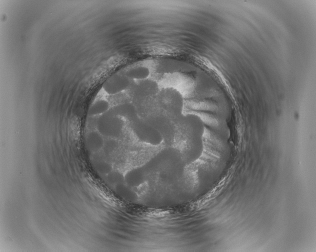 X0000086920257200705071335