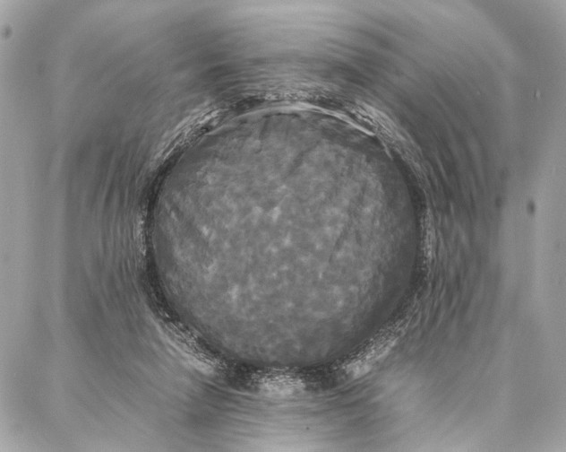 X0000086920258200705071335