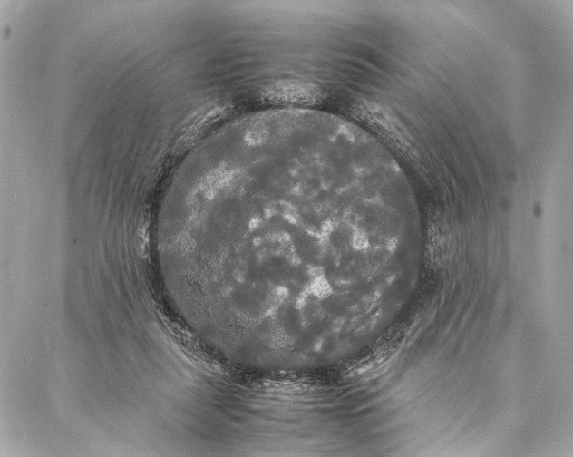 X0000086920259200705071335