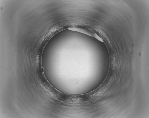 X0000086920260200705071335