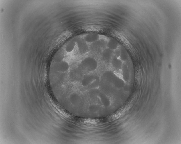 X0000086920261200705071335