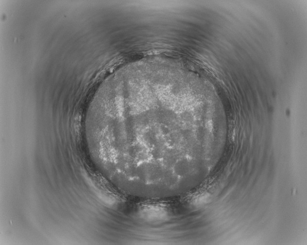 X0000086920263200705071335