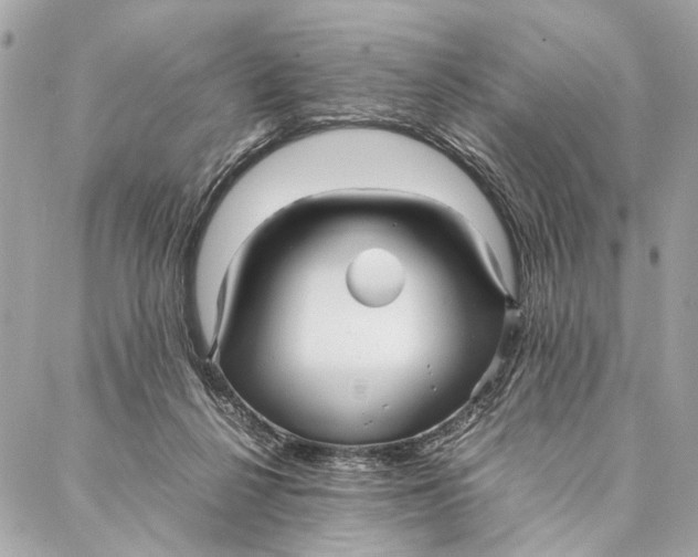 X0000086920264200705071335