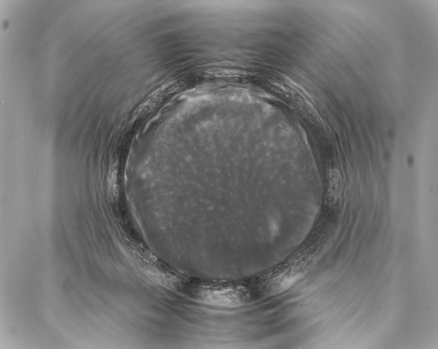 X0000086920267200705071335