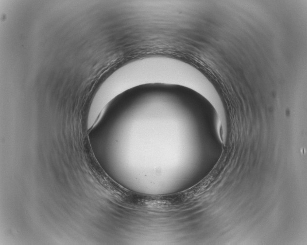 X0000086920268200705071335