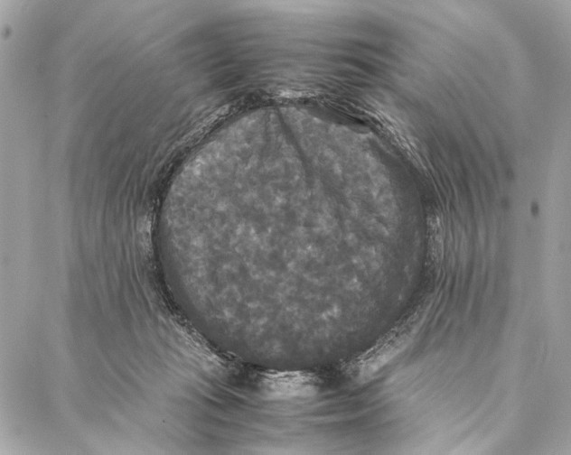 X0000086920269200705071335