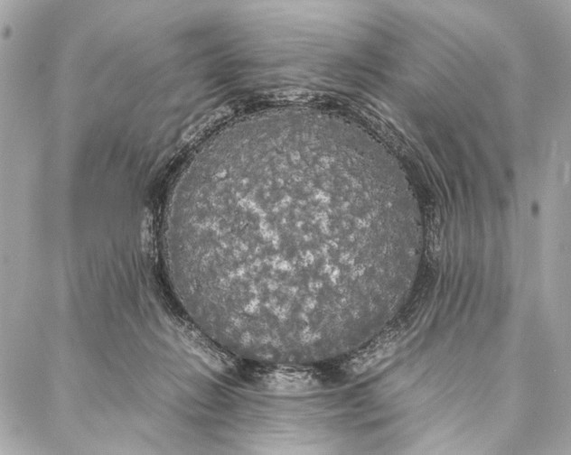 X0000086920270200705071335