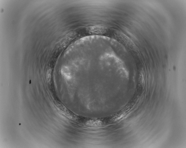 X0000086920271200705071335