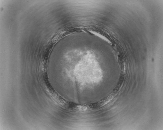 X0000086920272200705071335