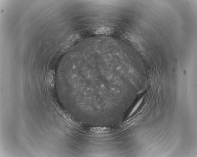 X0000086920273200705071335