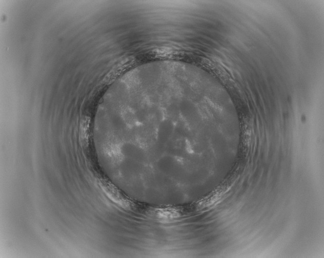 X0000086920275200705071335