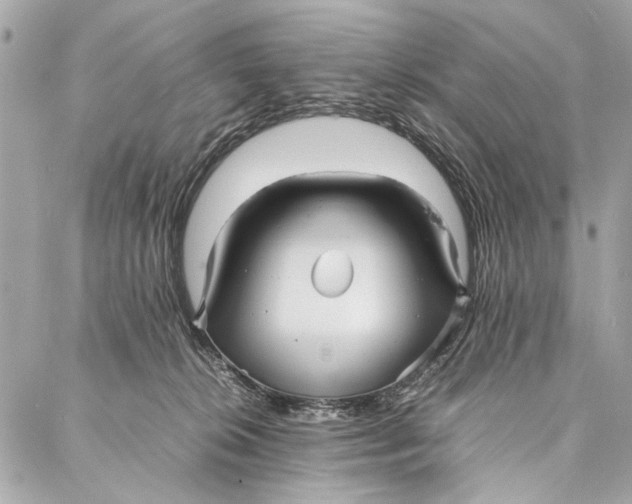 X0000086920276200705071335