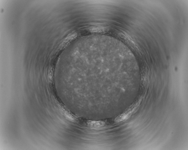 X0000086920277200705071335