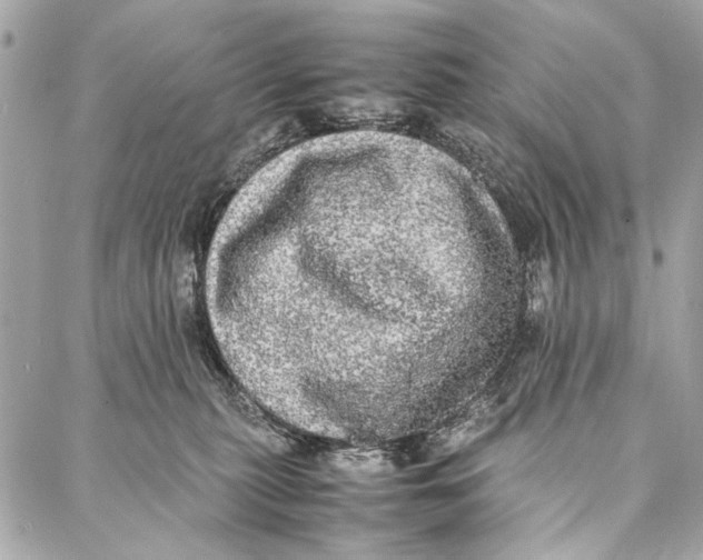 X0000086920279200705071335