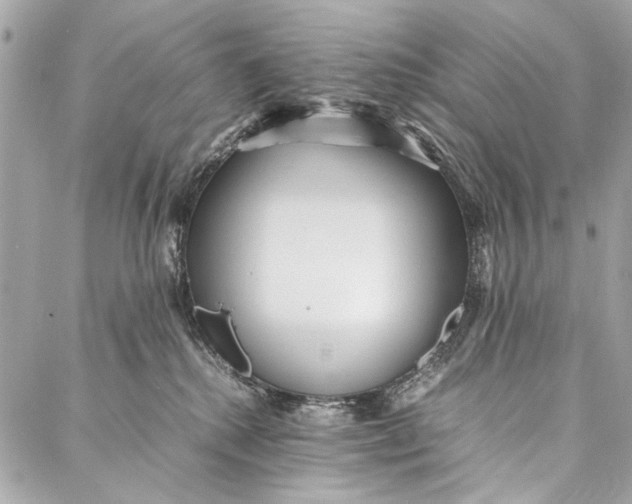 X0000086920280200705071336