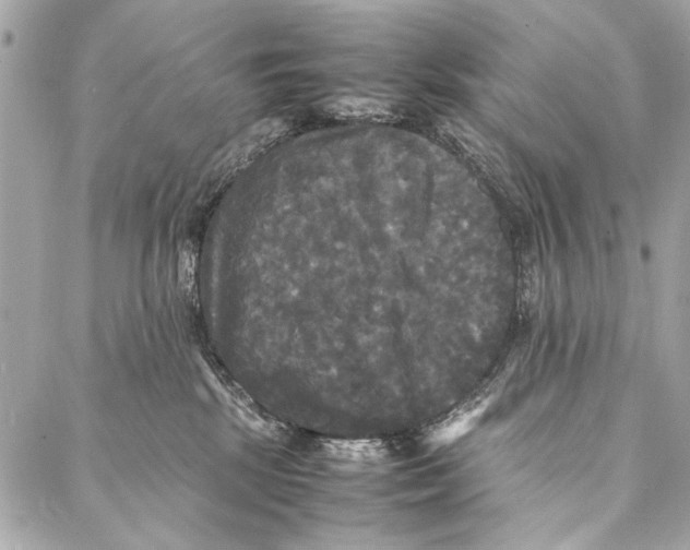 X0000086920281200705071336