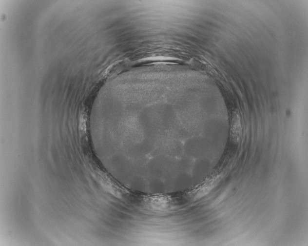 X0000086920282200705071336