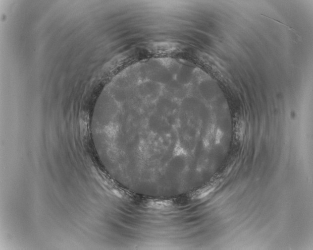 X0000086920283200705071336