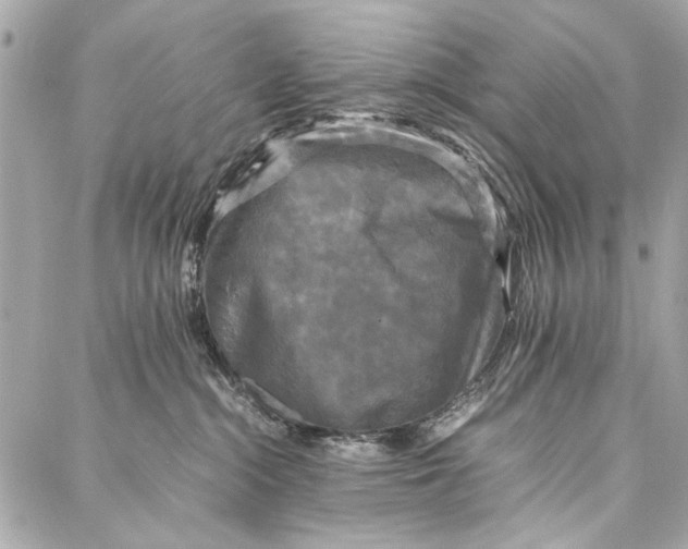 X0000086920284200705071336