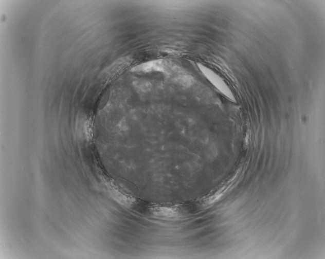 X0000086920285200705071336