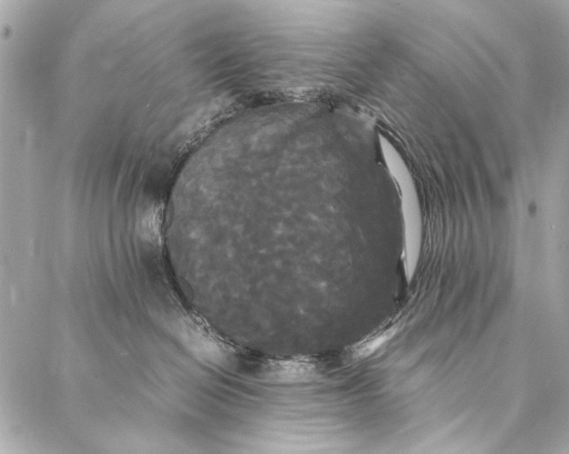 X0000086920286200705071336