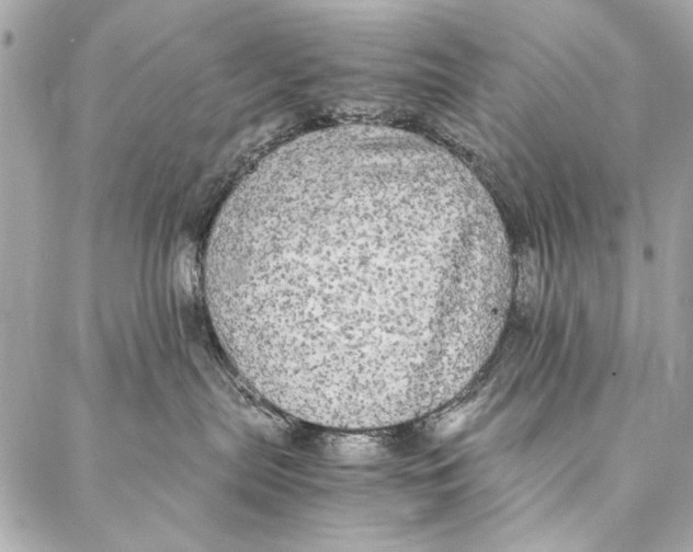 X0000086920287200705071336