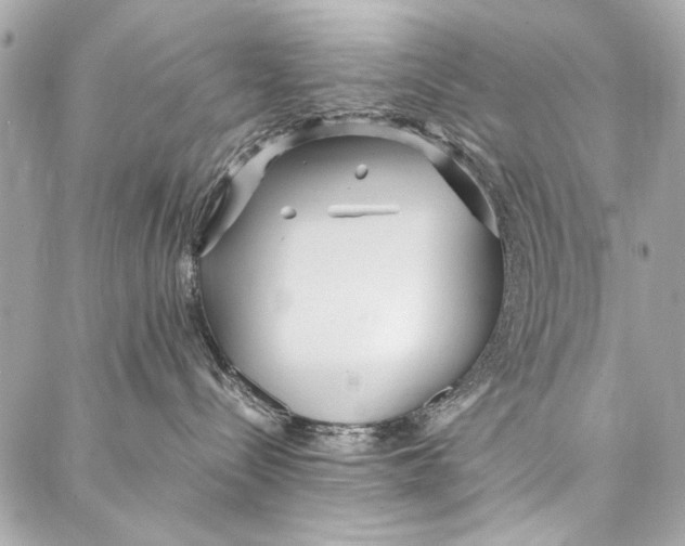 X0000086920288200705071336