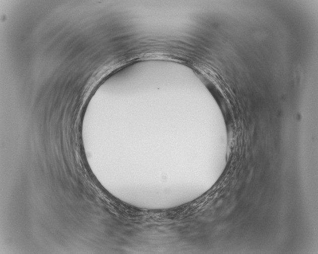 X0000086920289200705071335