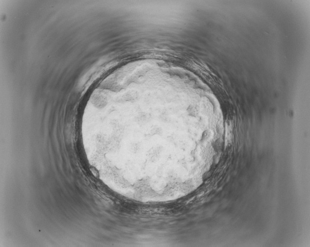 X0000086920291200705071335