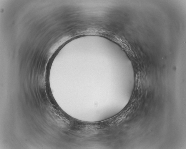 X0000086920292200705071335