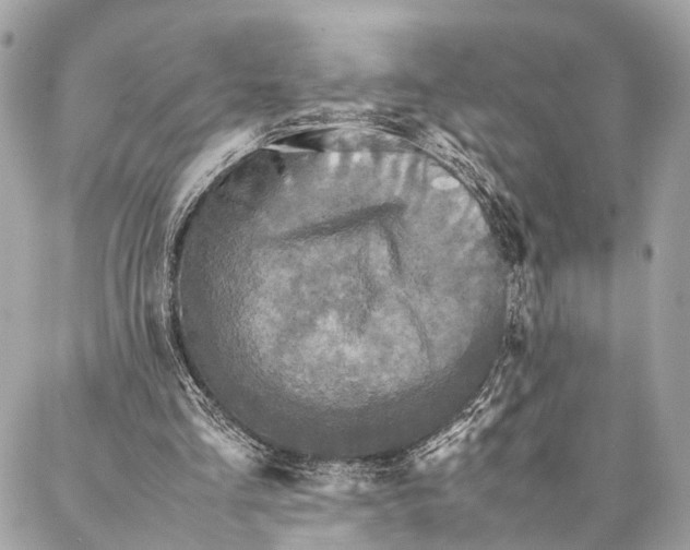 X0000086920293200705071335