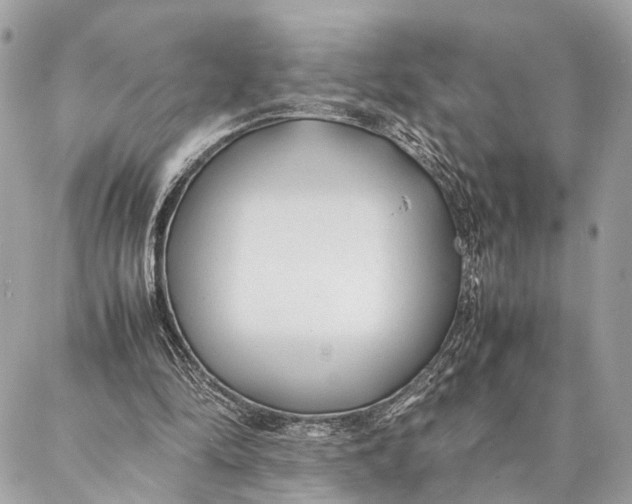 X0000086920294200705071335