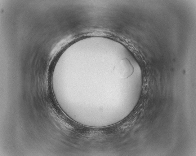 X0000086920296200705071335