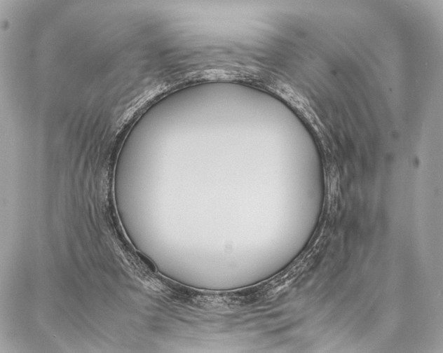 X0000086920297200705071335