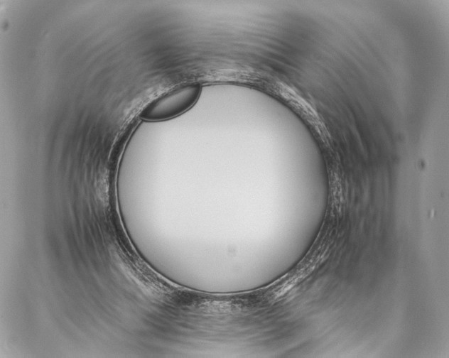 X0000086920298200705071335