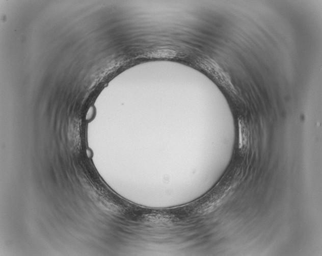 X0000086920300200705071335