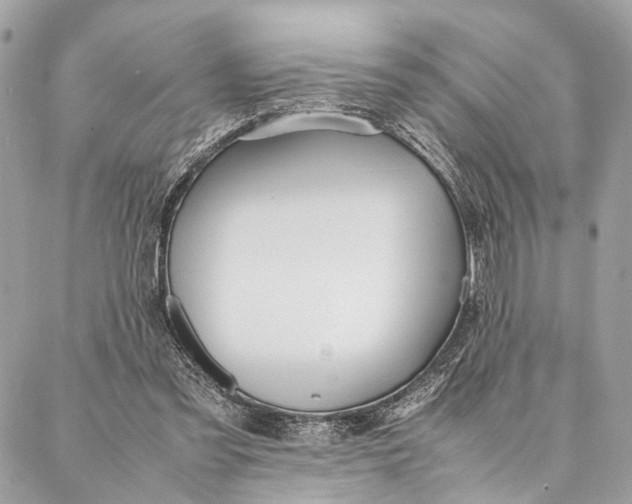 X0000086920301200705071335